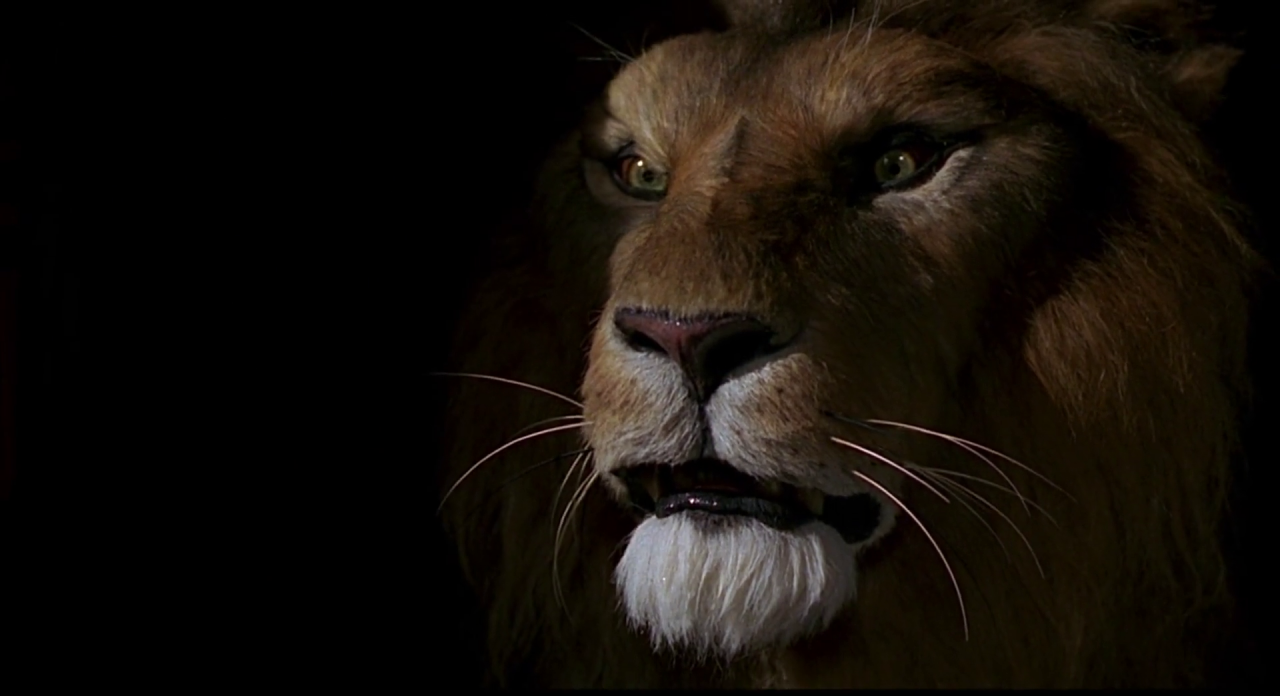 jumanji_1080_3_large