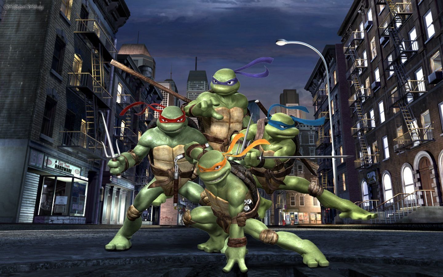 TMNT2007StagWS