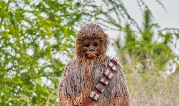 360 F 519005115 AvoSezqwiOcJQkhYgiEmMGj52tghOmi3