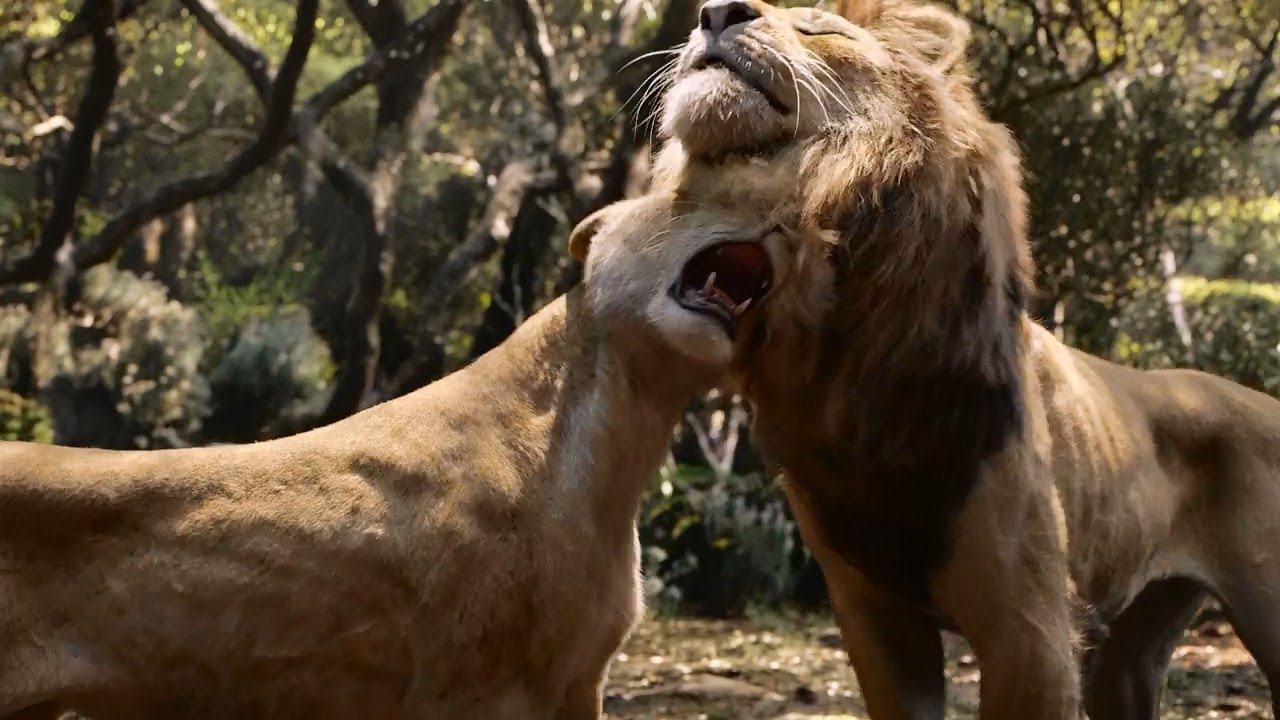 CCXP19: Painel de O Rei Leão conta como o filme foi recriado | Jon Favreau | Revista Ambrosia