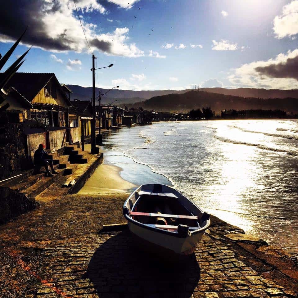 12650833 997990110275633 7709042717032732318 n