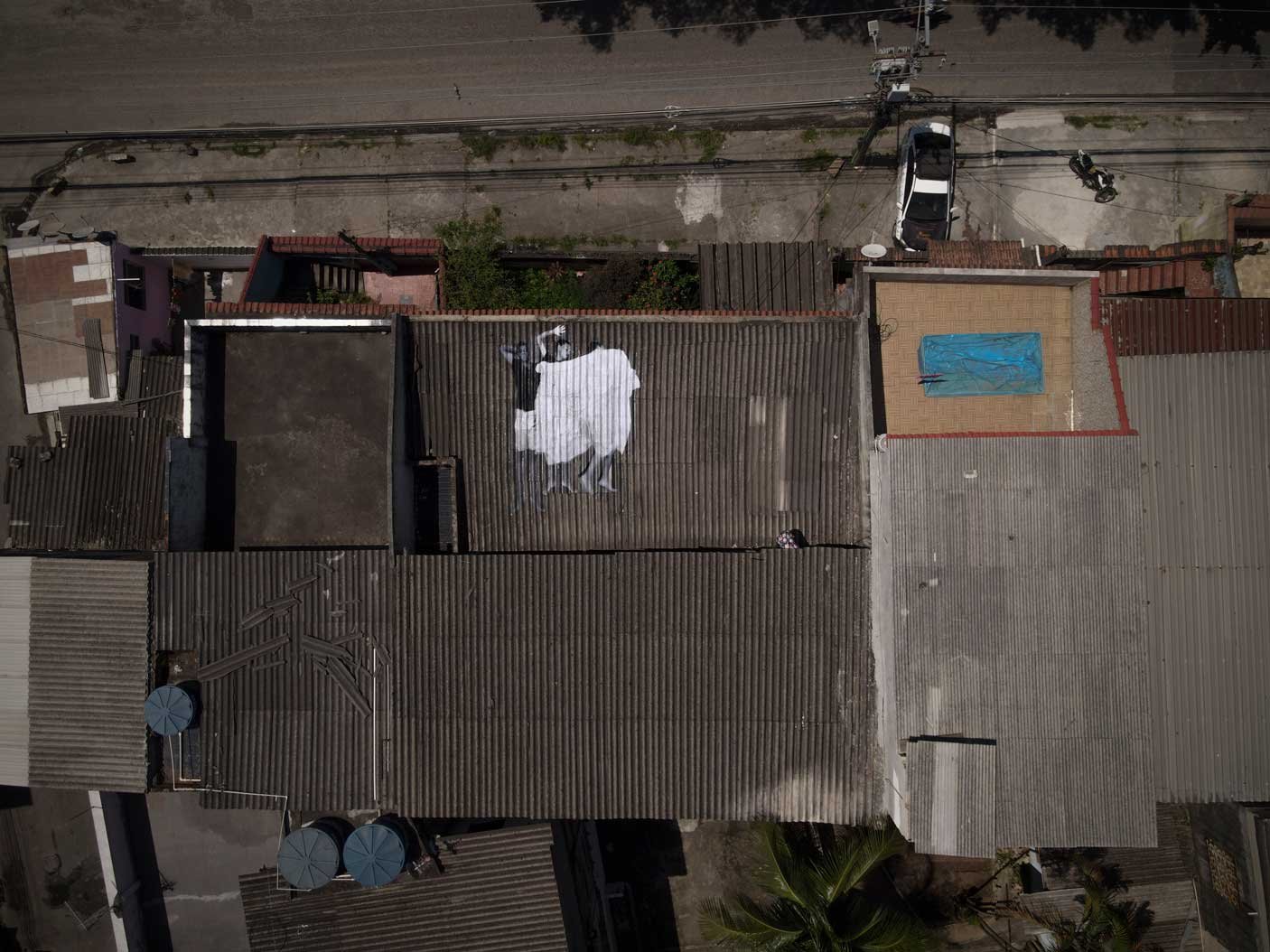 Intervencao artistica sp ambrosia