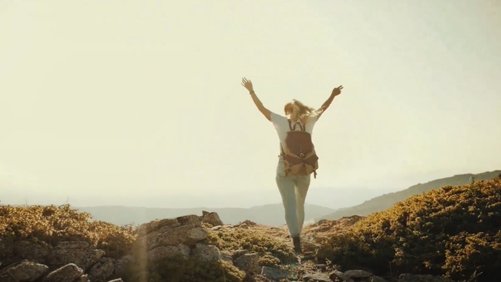 Zekrdoso Aqui no telhado