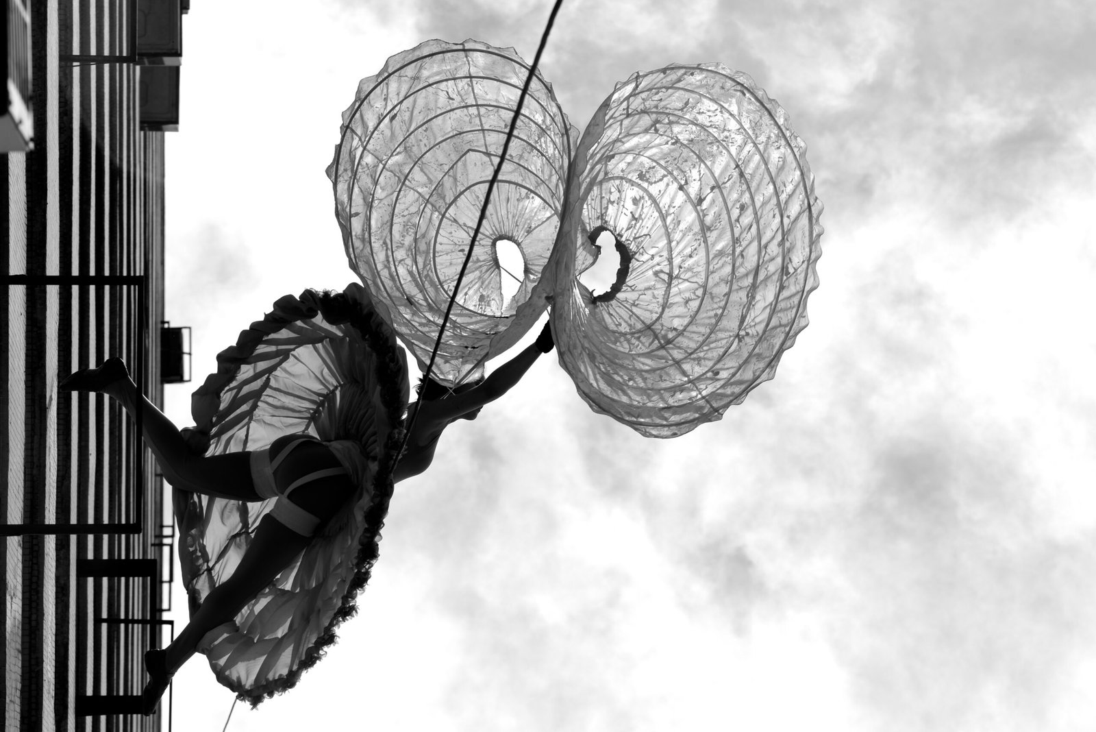 Jardimsuspensoolido43