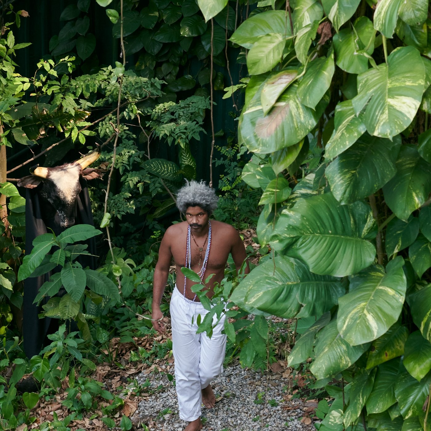 QTV069 Negro Leo Rela Spotify