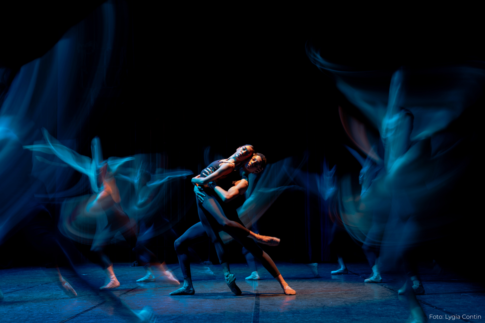 Vortex Foto Lygia Contin