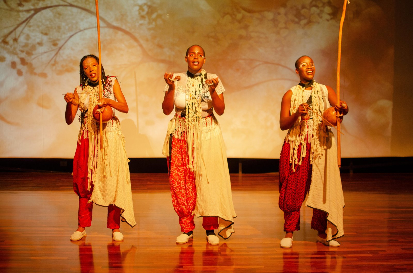 Dingo-Dingo por Will Clicks