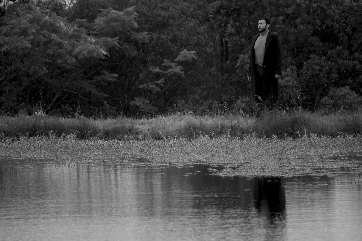 Cinco títulos disputam a Mostra Sedac Iecine de Longas Gaúchos do 53º Festival de Cinema de Gramado