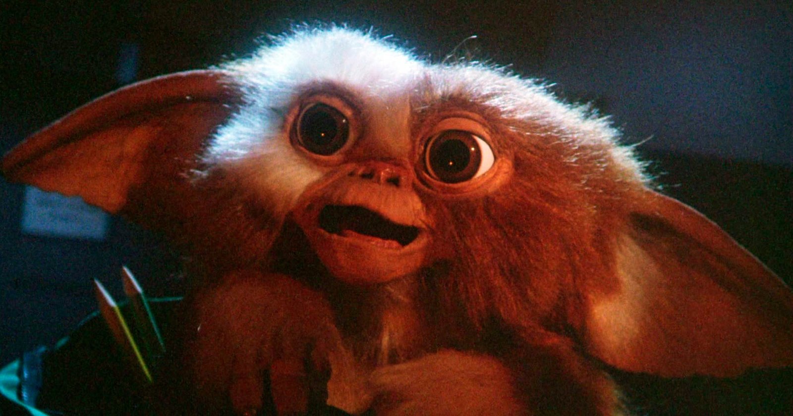 “Gremlins 3” está oficialmente a caminho com Chris Columbus e Steven Spielberg