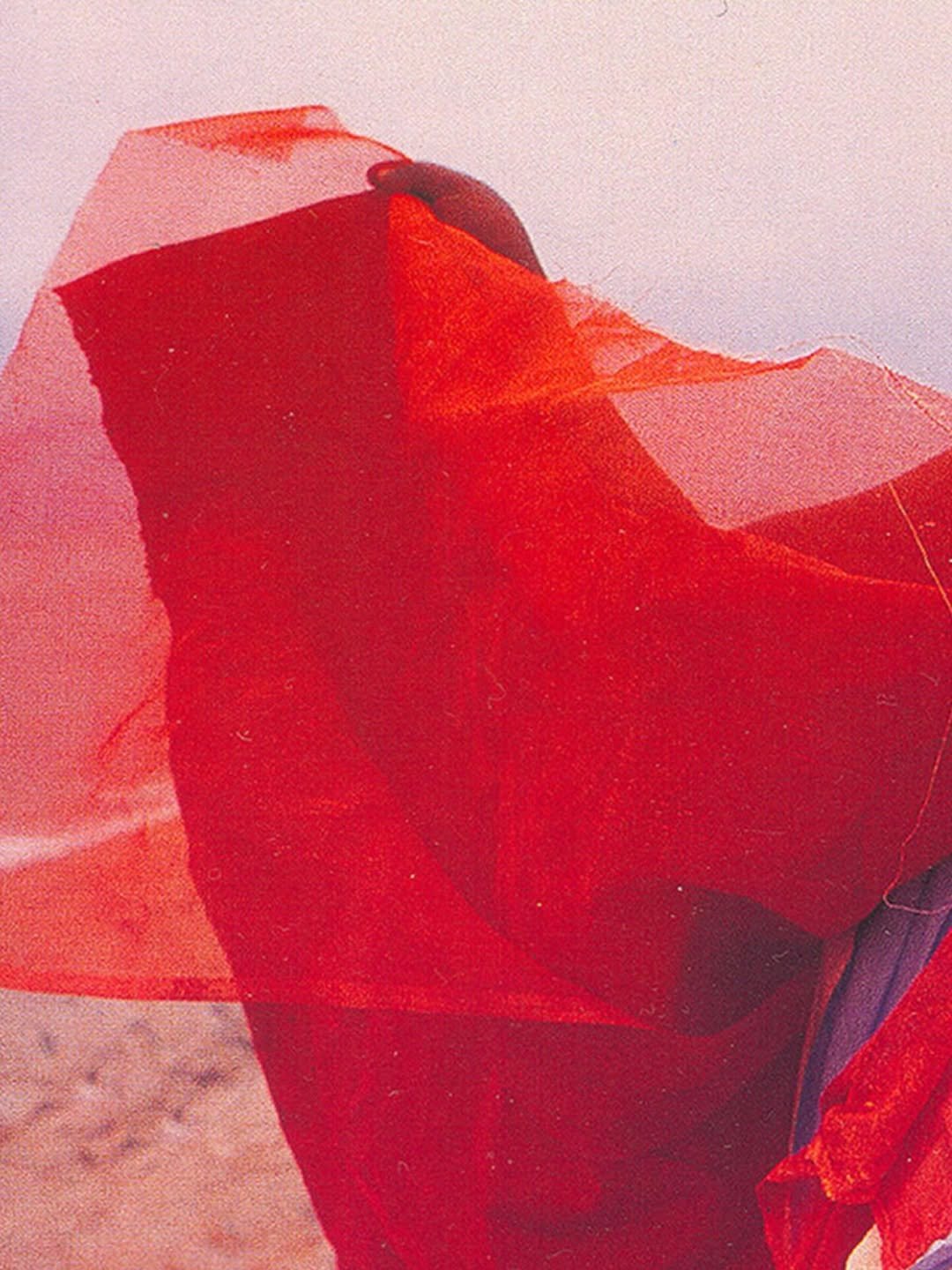 Livro Hélio Oiticica — Parangolé