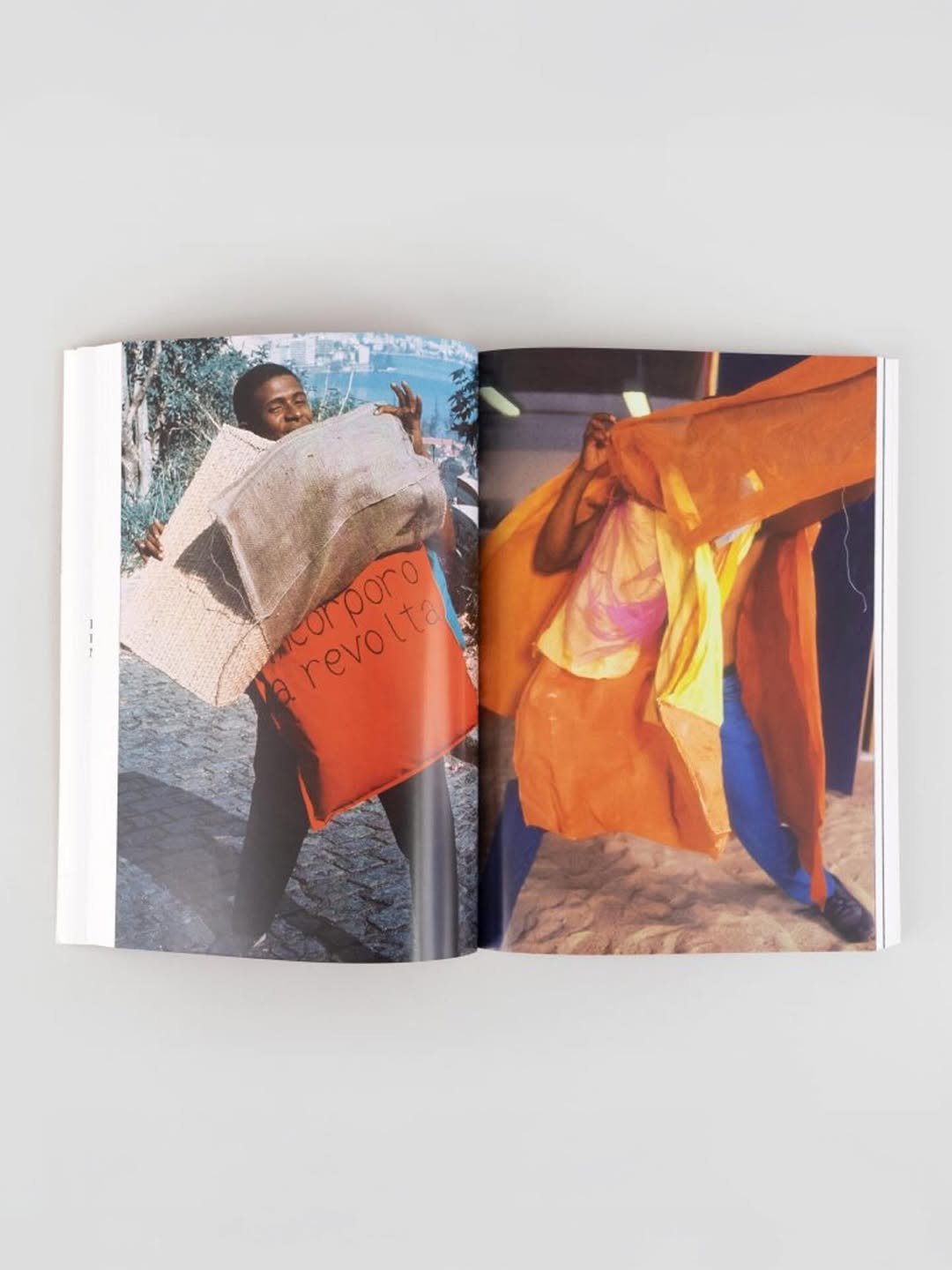 Livro Hélio Oiticica — Parangolé