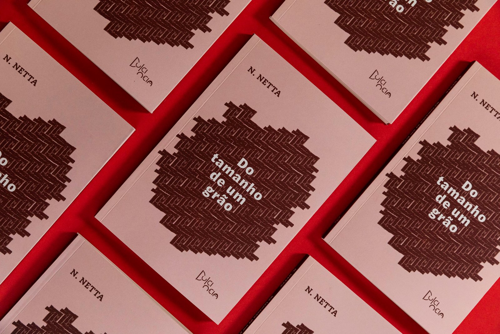 “Do tamanho de um grão” no Festival Sempre Um Papo, em BH