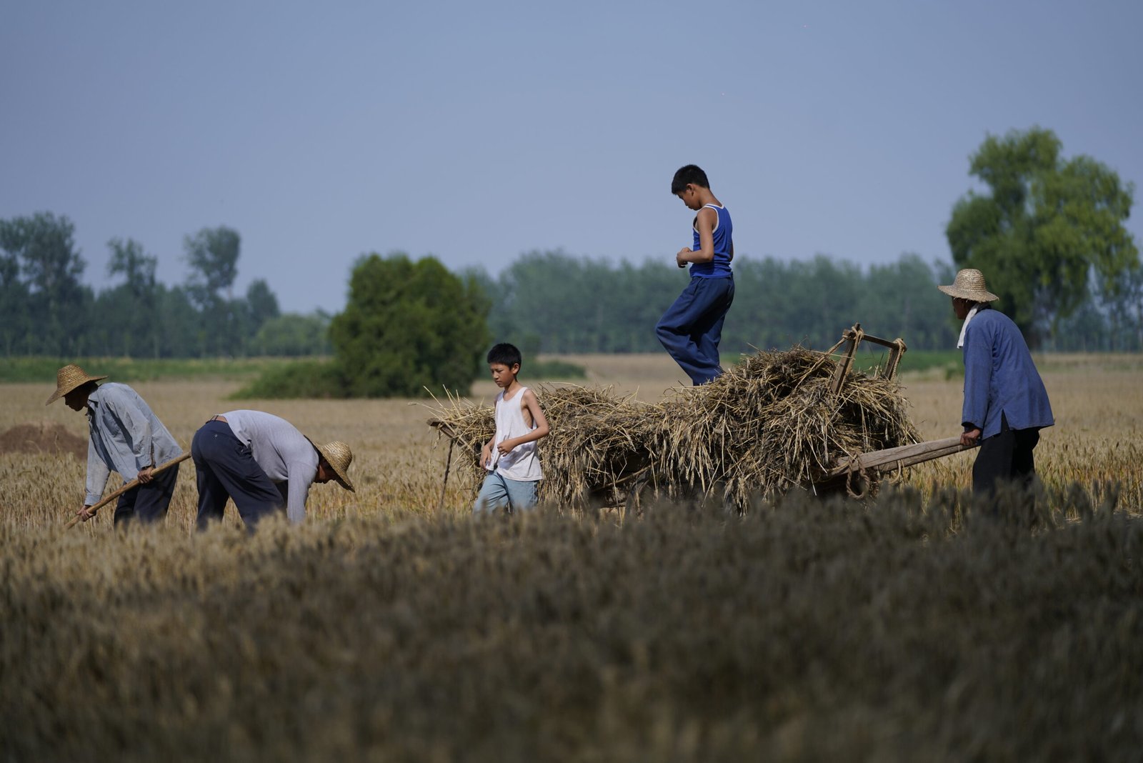 Living the Land: drama familiar sobre um passado fugaz