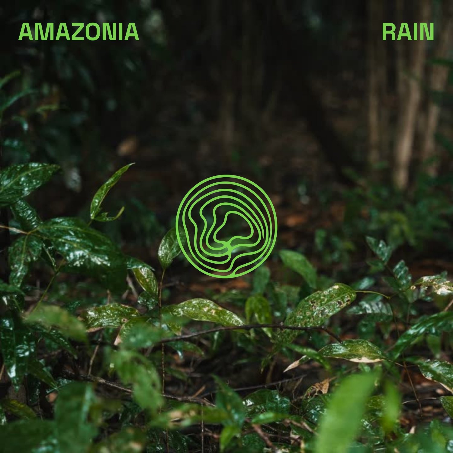 Nature Tales Album Cover 1x1 Amazonia Rain