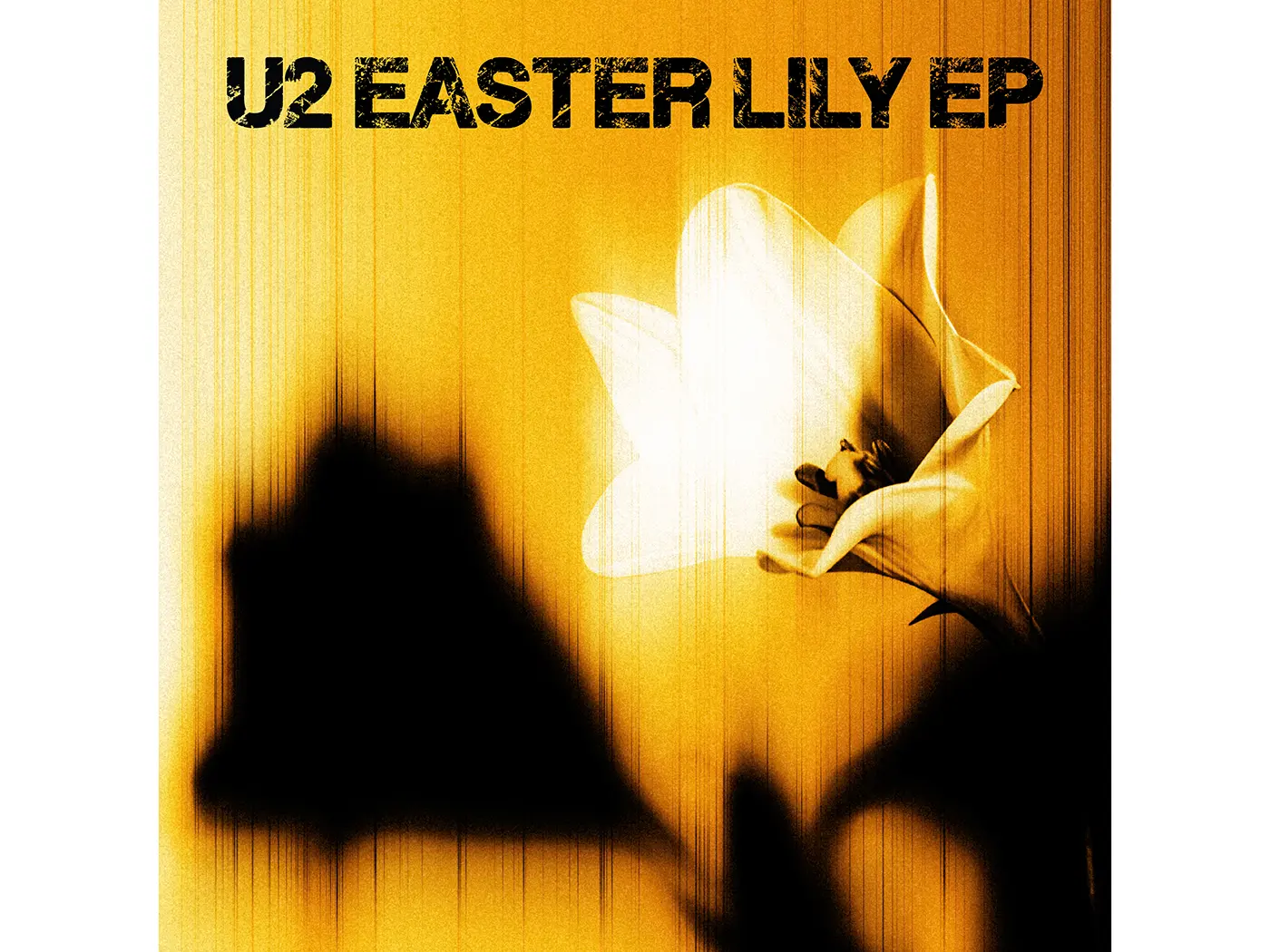 U2 Easter Lily EP cover artwork