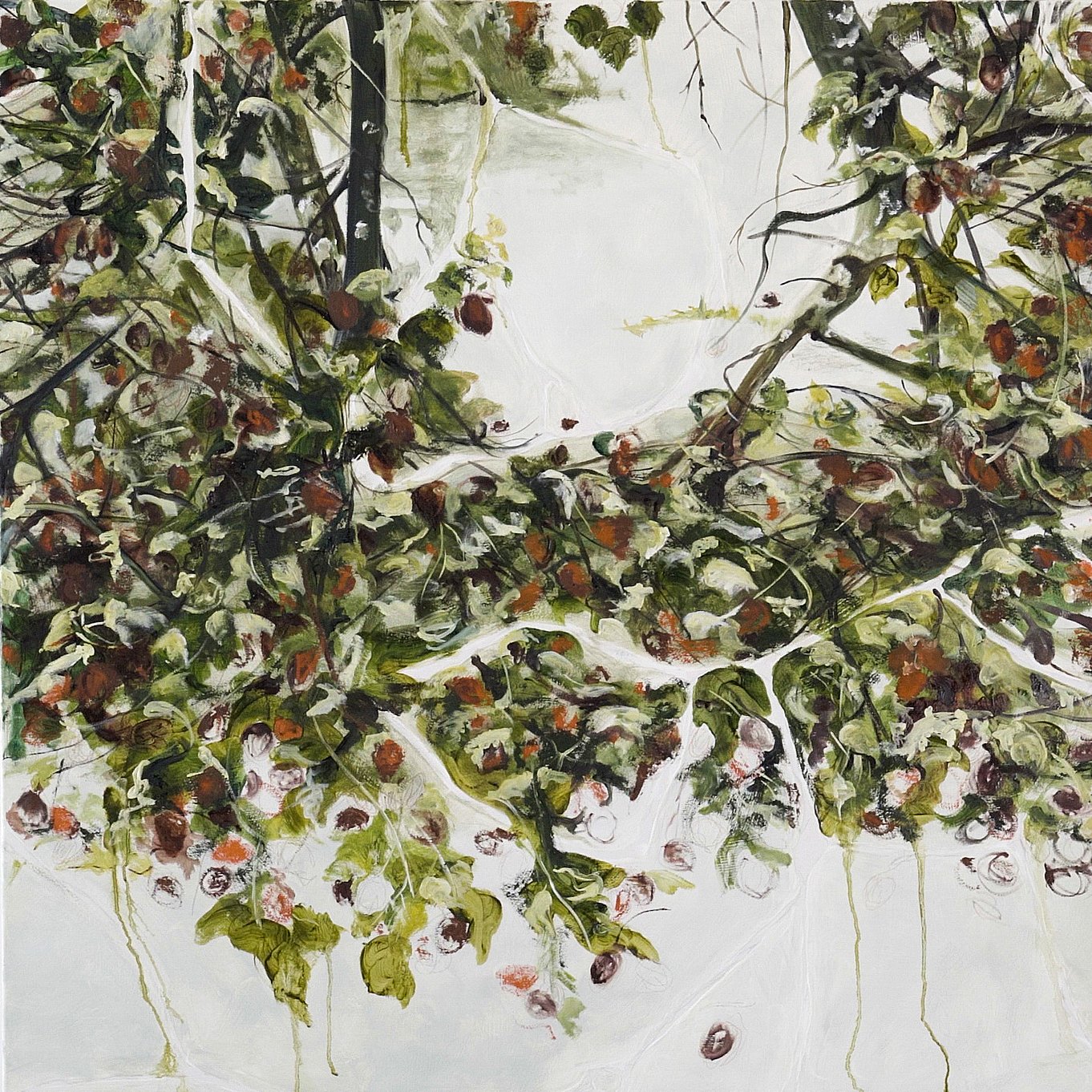 Ana Paula Sirino, Urucum tombado. 2026 Óleo sobre tela 100x100 cm