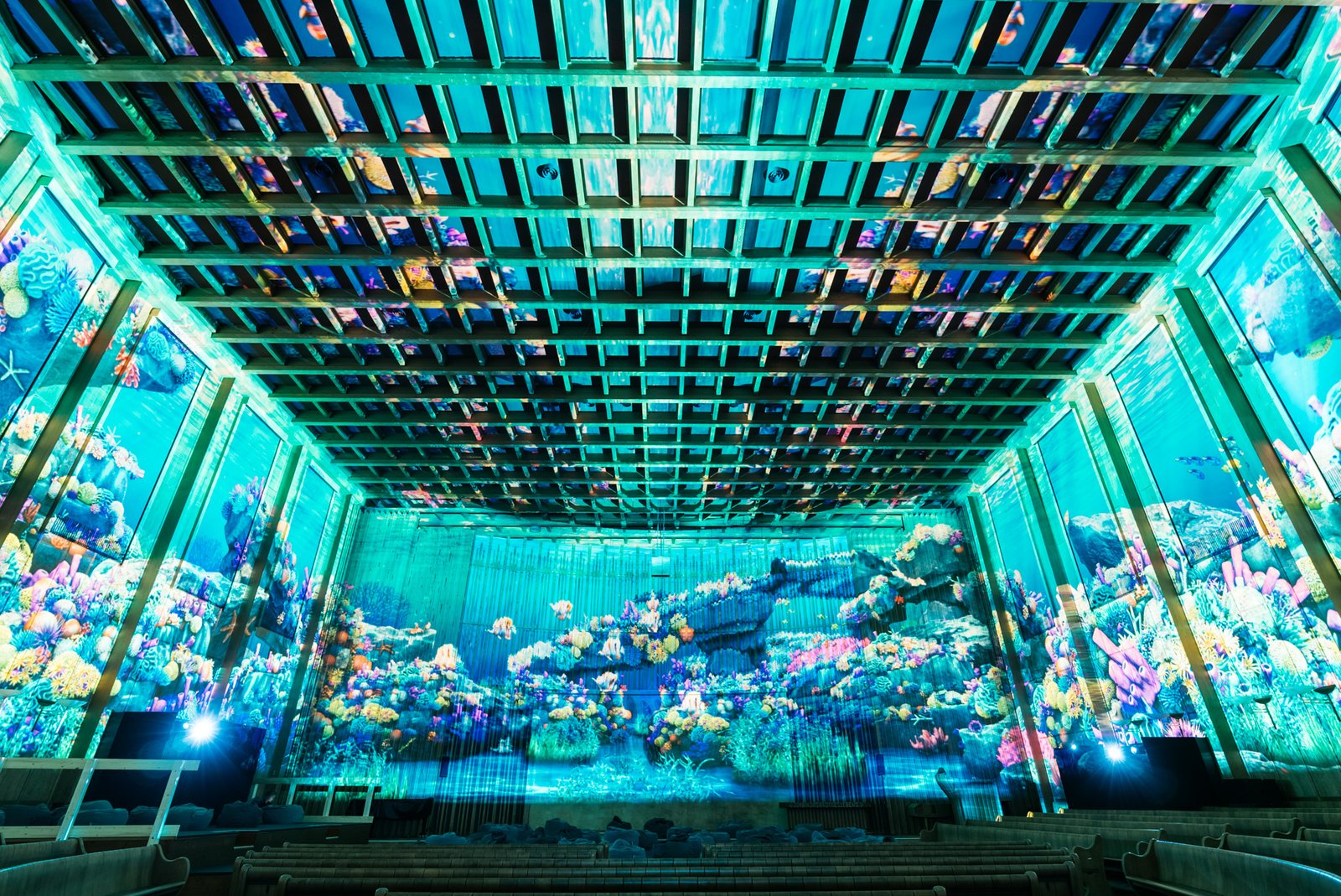 PixelZooOcean (c) Jean Cristophe Dupasquier
