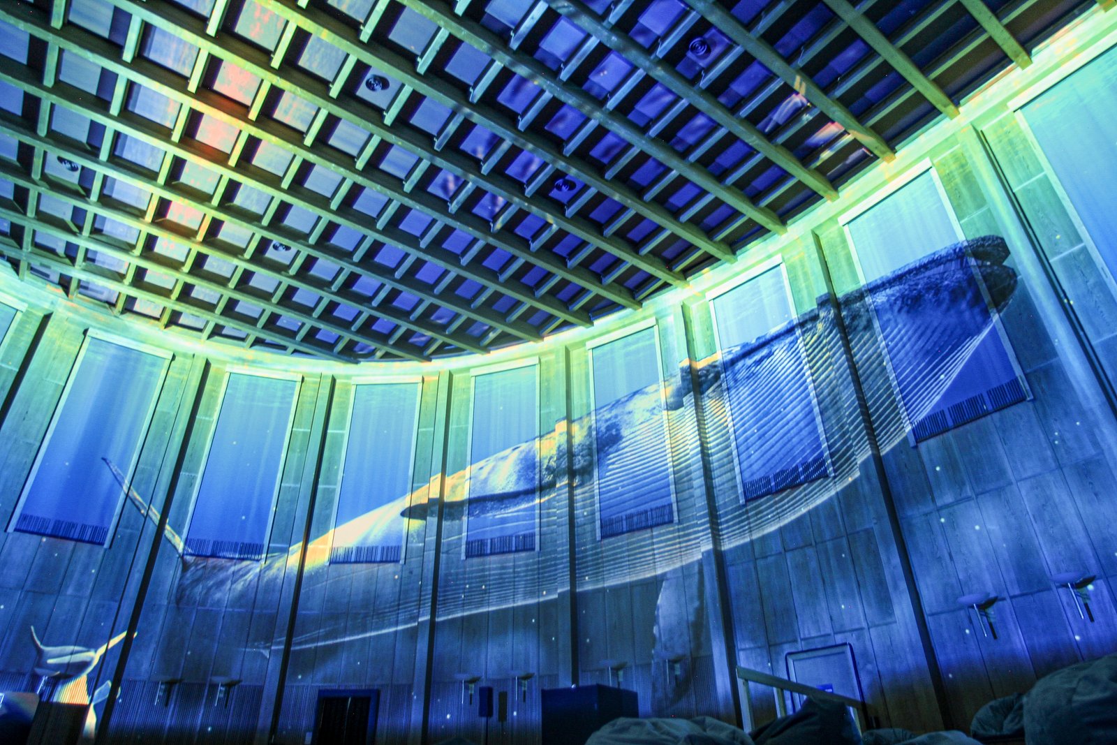 PixelZooOcean (c) Roman Beranek